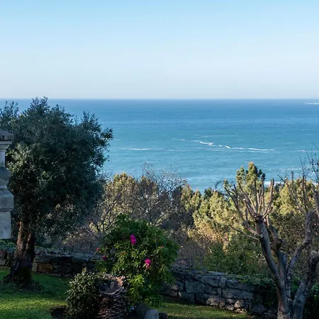 Luxury Celavella Galicia Hc * Baiona